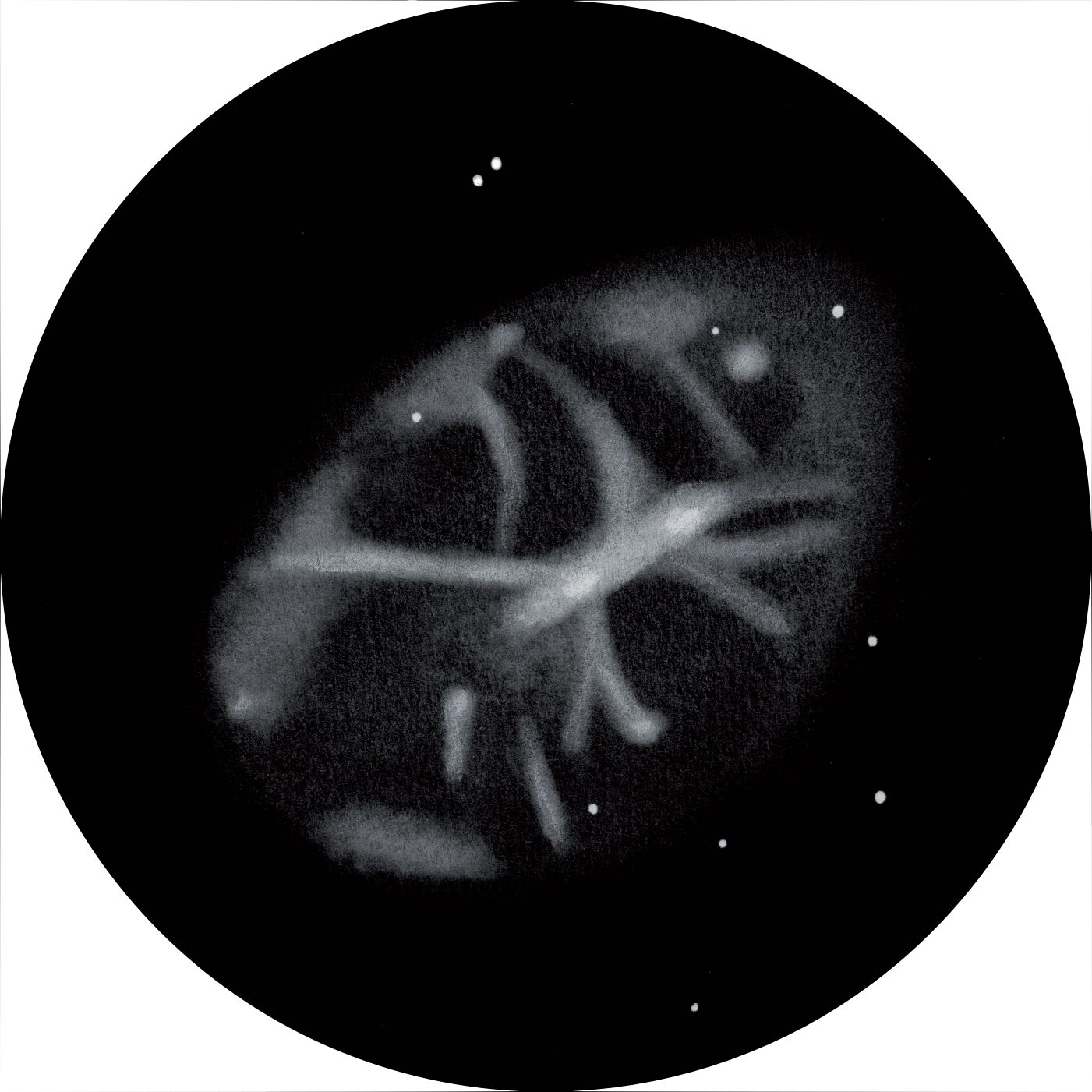 Imagen de Messier 1 con un Newton de 27" con un factor de aumento de 366 y filtro [OIII]. Uwe Glahn