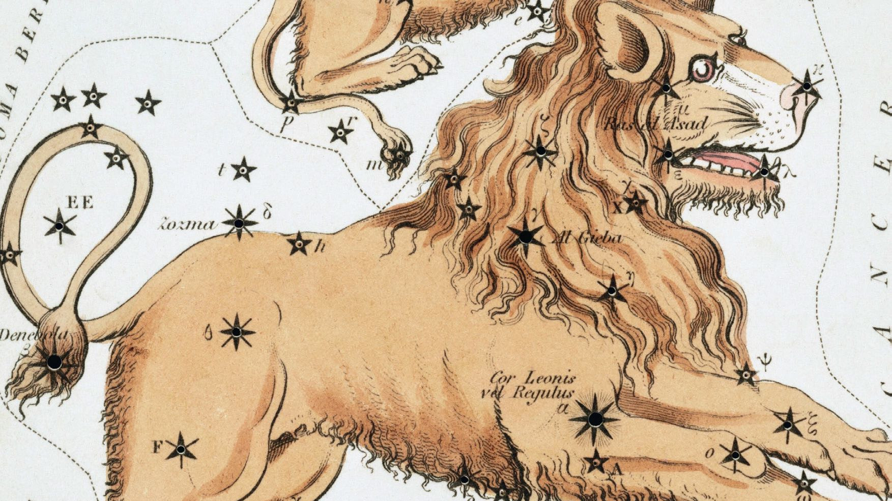 Aunque hoy esta constelación recuerda claramente a la forma de una plancha, hace milenios los astrónomos veían un león agazapado, cuyo corazón estaba marcado por la brillante estrella Régulo.