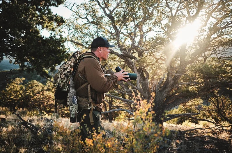 Swarovski AT Balance