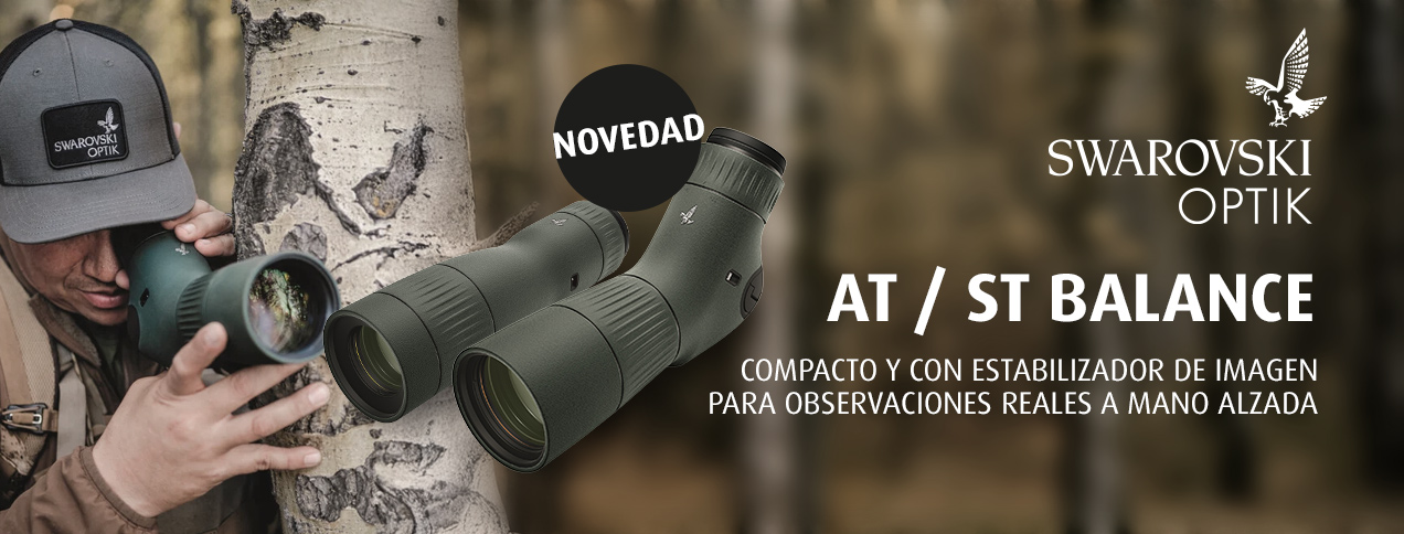 Swarovski New Products